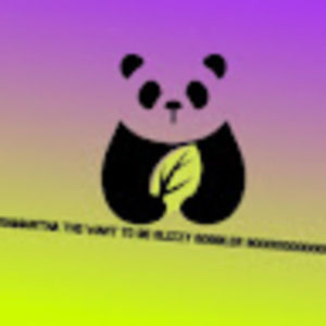 Meet your Posher, Maddie